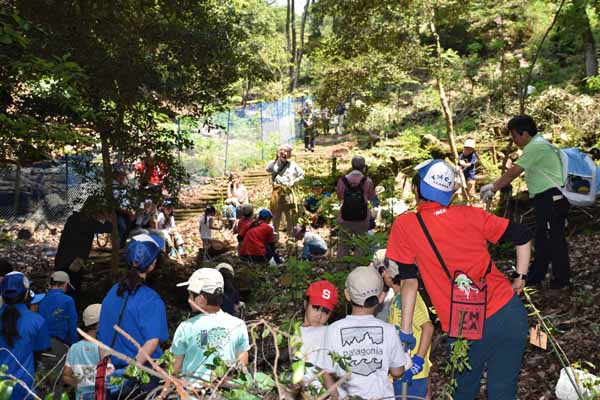 平林会